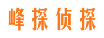 广州外遇调查取证